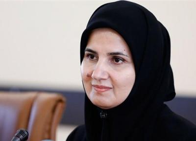 دولت در تعامل با بخش خصوصی بسترهای حقوقی جهش تولید را فراهم می کند